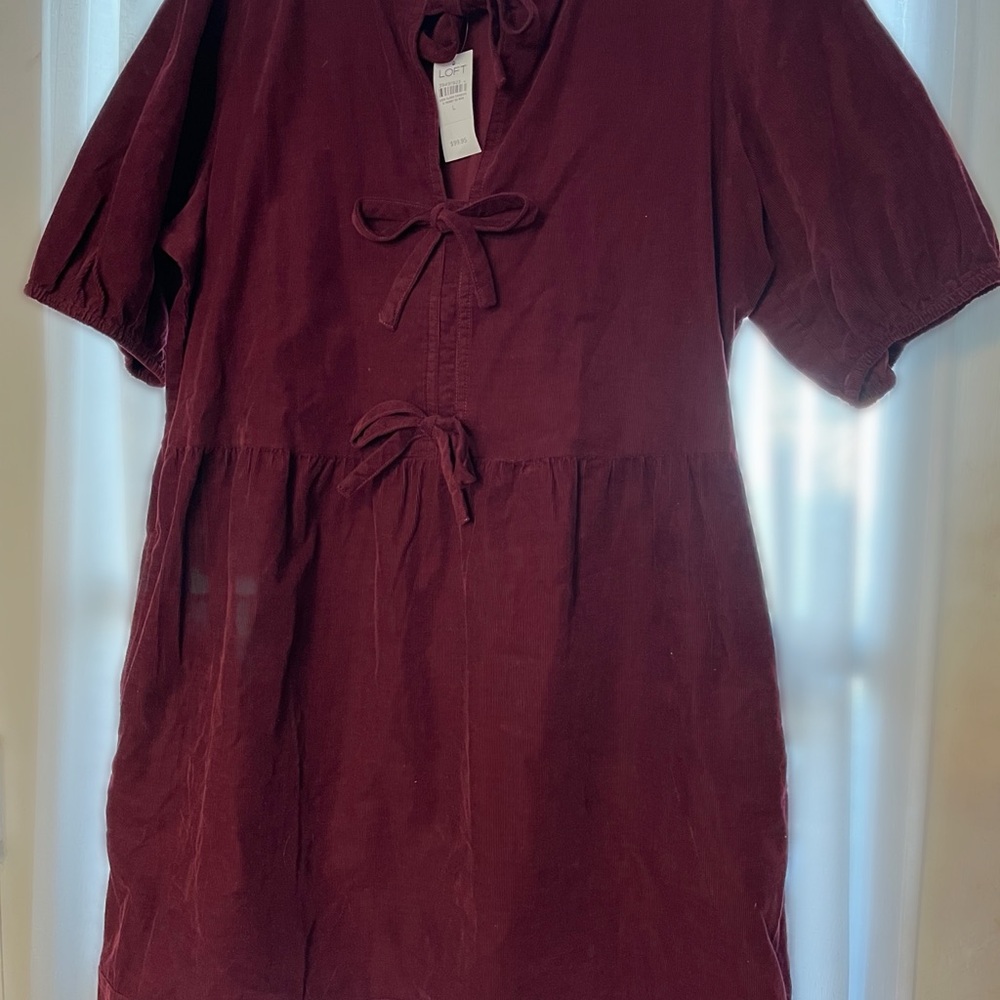 LOFT Deep Red Dress with Bow Accent
